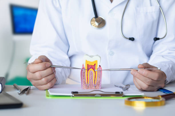 Best Same-Day Emergency Dental Services in Cloverport, KY